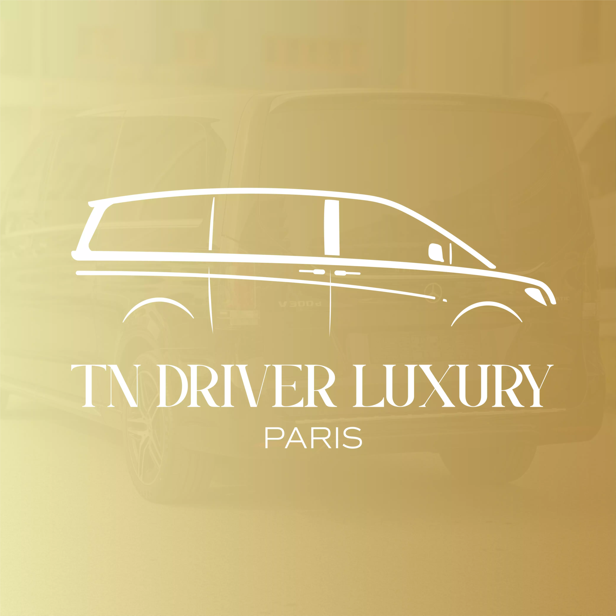 Logo TN DRIVER LUXURY van
